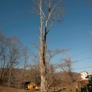 All Season Tree Care - Redding, CT