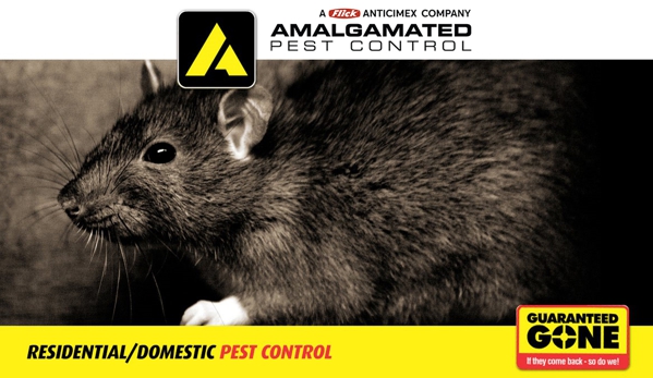 Amalgamated Pest Control - Arcadia, QLD. Residential (Domestic) Pest Control