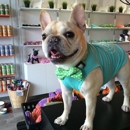 Jack and Jill Pet Market - Pet Grooming