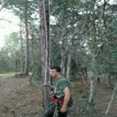 A-Action Tree Service of Citrus County. Inc. - Arborists