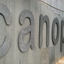 Canopy Studio - Dance Companies