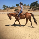 Rolling Hills Boarding Stables - Stables