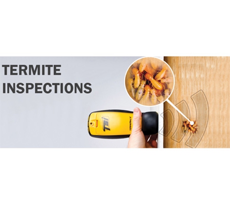 Affordable Pest Control - Nowra, NSW