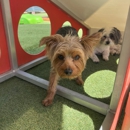 BratPak Dog Kamp - Henderson - Dog Day Care