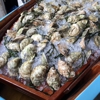 Grey Lady gallery