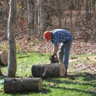 Tree Service