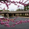 Franklin Church of Christ gallery