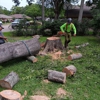 G&S Tree Service gallery