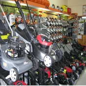 Gallery Image Number 4