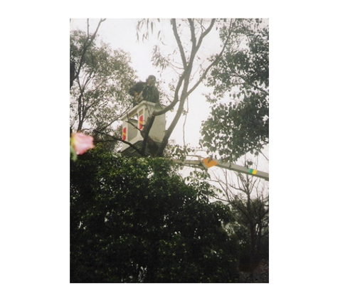 Action Tree Specialists - Kingsbury, VIC