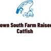 Deep Down South Farm Raised Catfish gallery