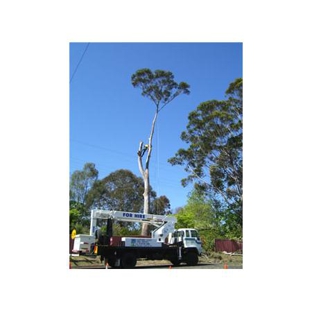Sapphire Coast Firewood - Queanbeyan West, NSW