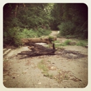 Pilcher Park Nature Center - Nature Centers