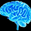 Hearing and Brain Centers of America - Cedar City gallery
