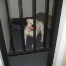 Heavenly Boarding Kennel - Pet Services