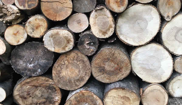 Metrowest Firewood and Land Services