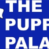 The Puppy Palace CT gallery