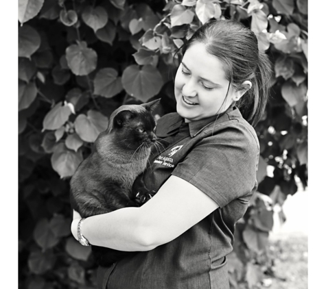 Port Augusta Veterinary Services - Port Augusta, SA