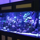 OCD Reefs - Pet Stores