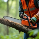 Scott Tree Company Inc. - Tree Service