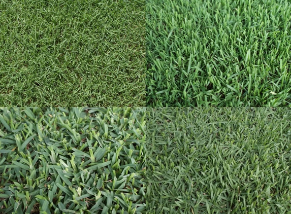 Walkers Turf Supplies - Silkstone, QLD