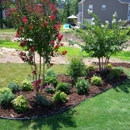 Stream Tree Inc - Landscape Designers & Consultants