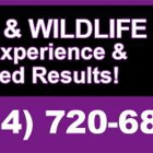 Titan Pest and Wildlife Solutions