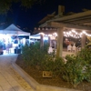 Lake Sumter Landing gallery