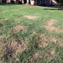 Royse Lawn Care - Lawn Maintenance