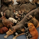 Harvest Plaza Animal Hospital - Veterinary Clinics & Hospitals