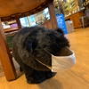 Orvis gallery