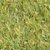 Gallery Image Number 1
