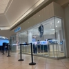 PANDORA gallery