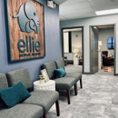 Ellie Mental Health - Mental Health Services