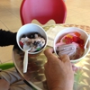 Tutti Frutti gallery