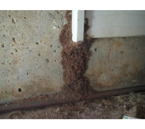 Resi Inspect - West Bathurst, NSW
