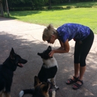 A1 DogTraining Academy, LLC