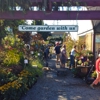 Sunnyside Nursery gallery