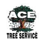 Ace Tree Service