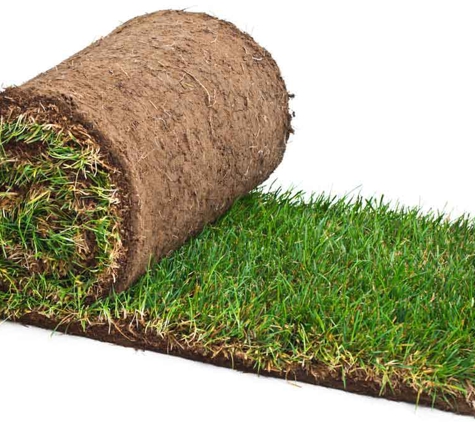 A B C Turf Supplies - Agnes Banks, NSW. ABC Turf Supplies can meet all of your turf needs.