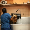 South Kendall Animal Hospital gallery
