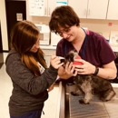 Piedmont Animal Hospital - Veterinarians