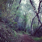 Hidden Falls Regional Park