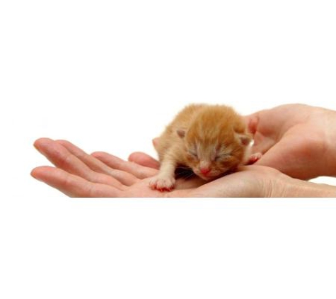 Traralgon Veterinary Centre - Traralgon, VIC