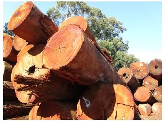 Middlesex Mill Pty Ltd - Middlesex, WA