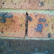 Gallery Image Number 3