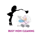 Busy Mom Cleaning - House Cleaning