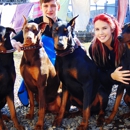 The Blue Poodle - Kennels
