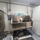 Lucky Dog Boutique & Spa - Pet Grooming
