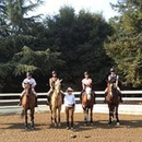 Spring Down Equestrian Center - Horse Stables